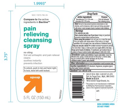 Target Pain Relieving Cleansing Spray No Sting (79505wag Artwork.png)